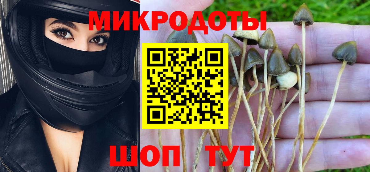 Галлюциногенные грибы GOLDEN TEACHER  магазин  наркотиков  Чайковский  Вход с VPN 